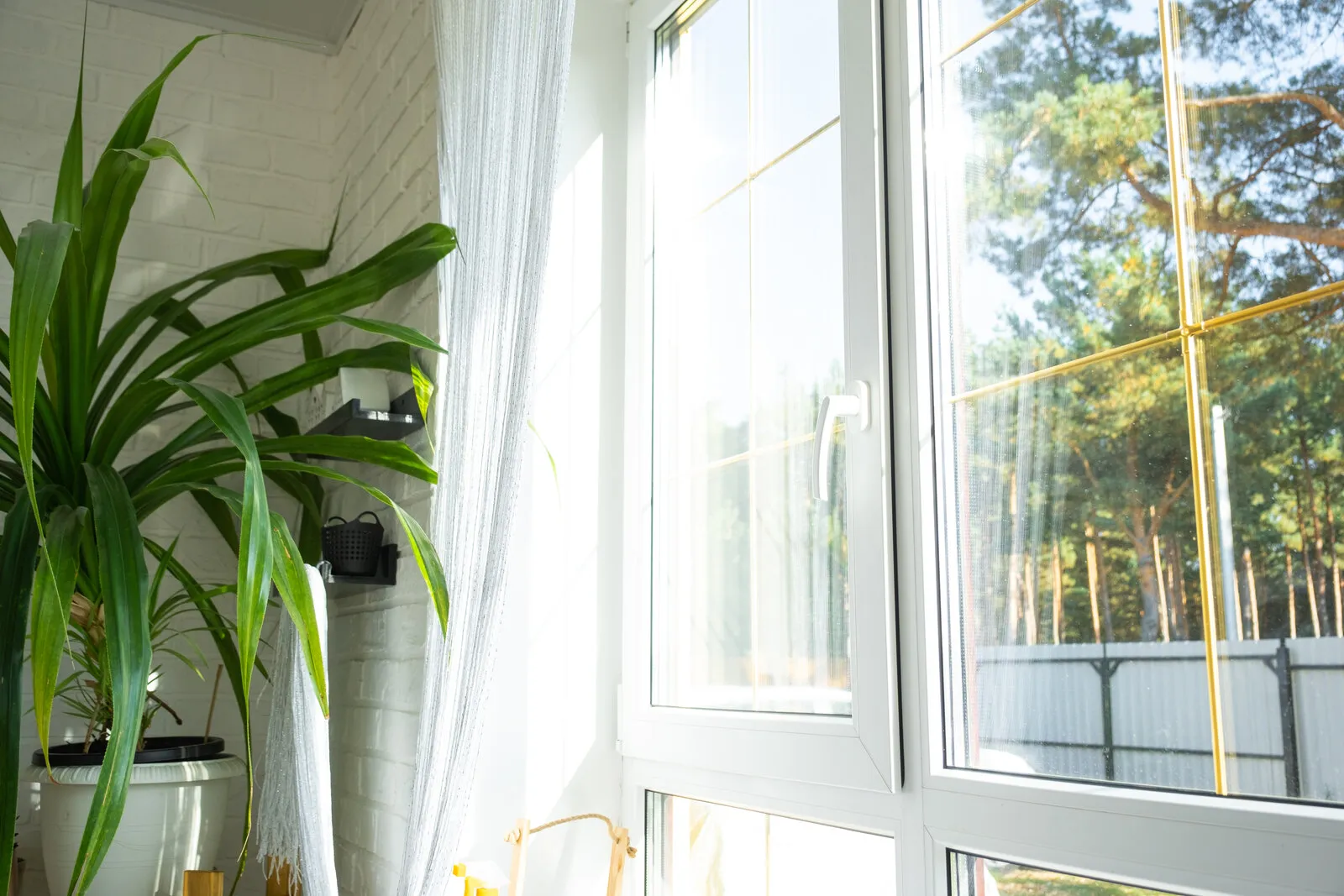 Residential windows overlooking a wooded yard