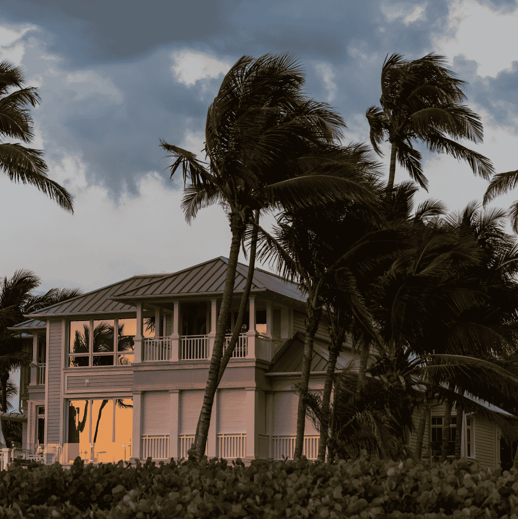 Florida coastal home surrounded by palm trees in high winds